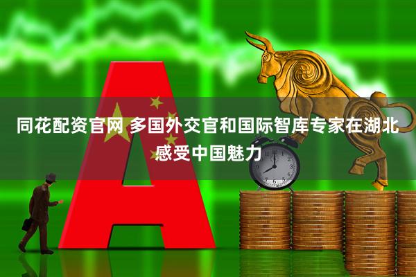 同花配资官网 多国外交官和国际智库专家在湖北感受中国魅力